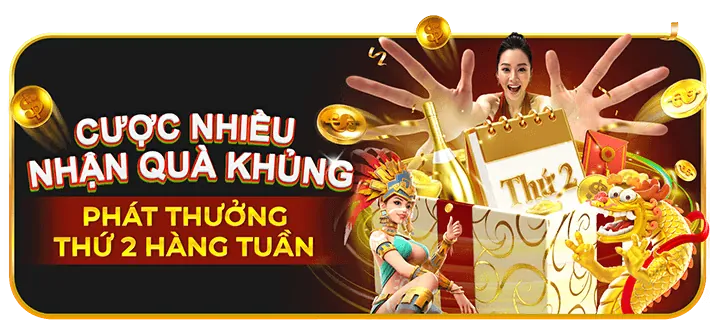 Chương trình hoàn trả hàng ngày không giới hạn tại VNQ8