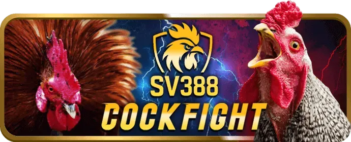 Cá cược thể thao VNQ8